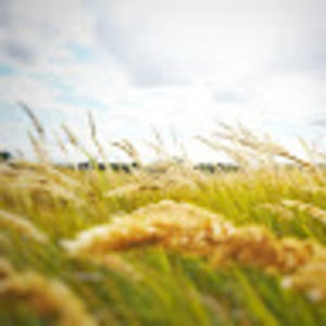 Meet your Posher, 云起微尘里